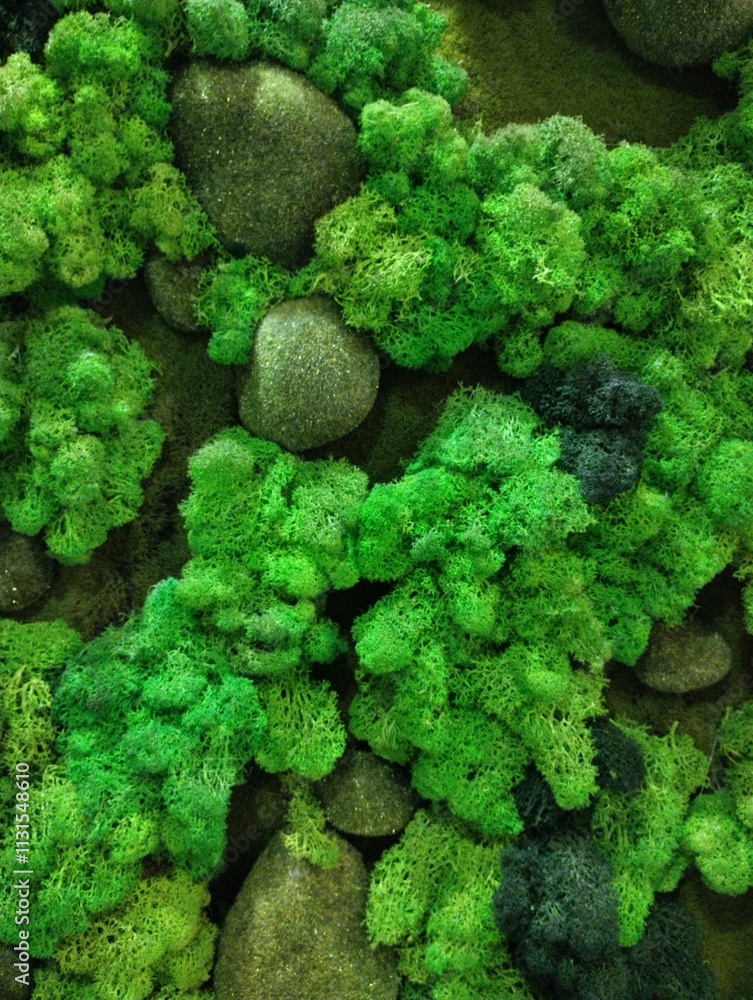 decorative artificial moss wall, indoor landscaping,plant green background
