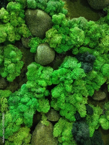 Obraz na płótnie decorative artificial moss wall, indoor landscaping,plant green background w salonie