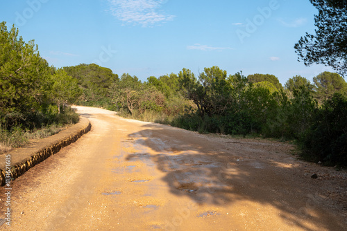 Camí de Ribamar im Naturpark Serra d'Irta bei Alcossebre, Provinz Castellón, Autonome Gemeinschaft Valencia, Spanien photo