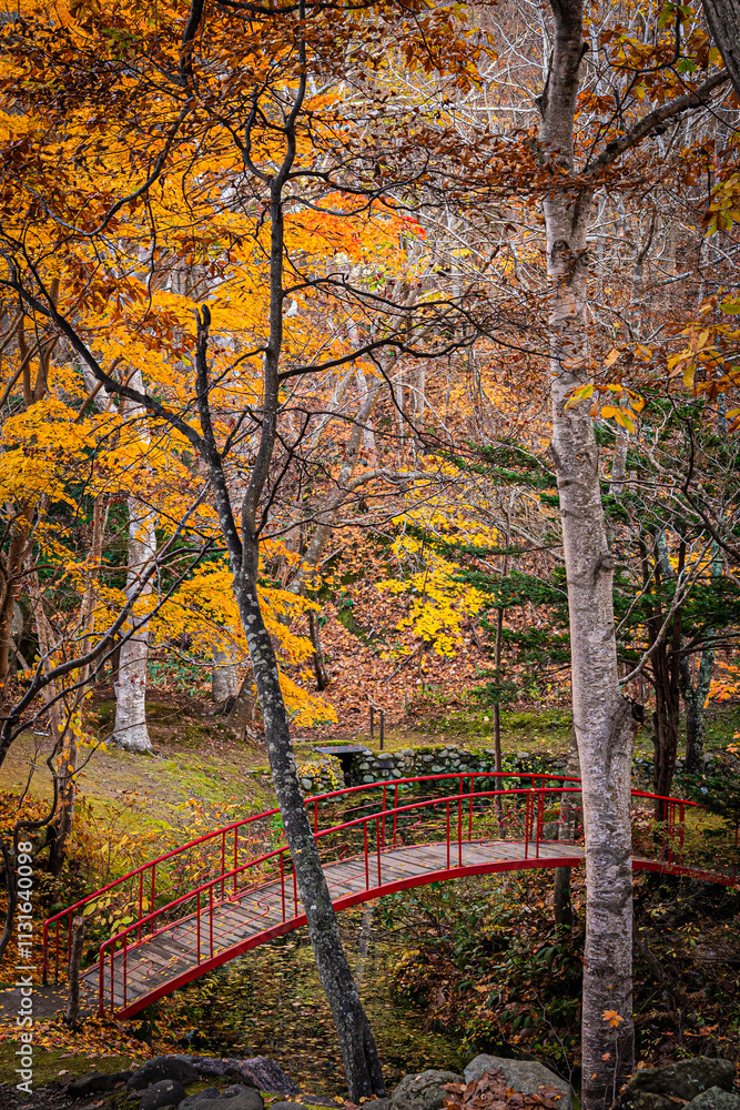 Obraz premium 北海道 札幌の秋