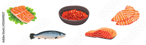 Salmon Fish Slab and Fillet with Red Flesh Vector Set