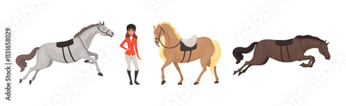 Equestrian Sport with Woman on Horse Back Vector Set