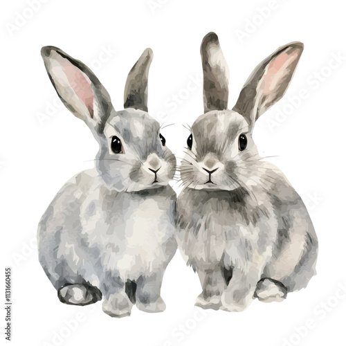 Two watercolor grey rabbits isolated on white background, cute gray rabbits , vector illustration