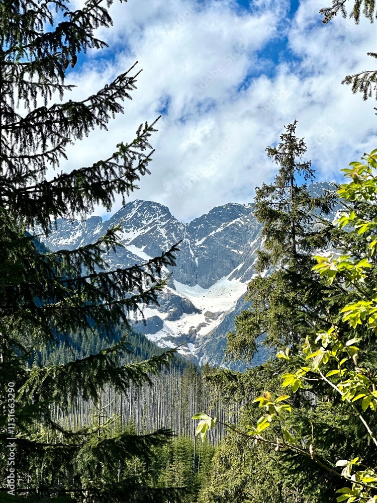 Tatra Mountains and Morskie Oko lake view in Zakopane, Poland