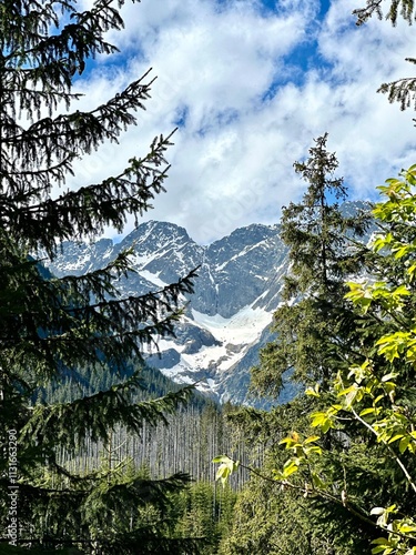 Obraz na płótnie Tatra Mountains and Morskie Oko lake view in Zakopane, Poland w salonie