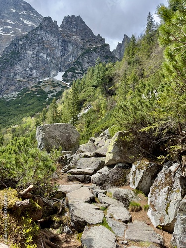 Obraz na płótnie Tatra Mountains and Morskie Oko lake view in Zakopane, Poland w salonie
