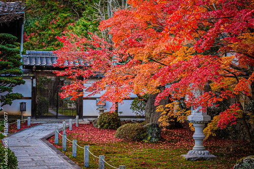 京都　秋の東福寺の風景