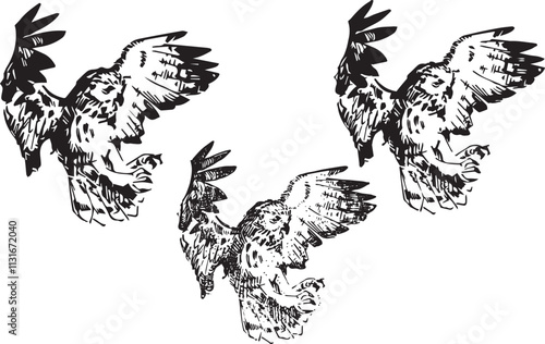 Detailed owl bird drawing Line Art black and white silhouette realistic cartoon clipart design wild animal doodle graphic contour sketch outline set flying bird hand drawn illustration element sticke
 photo