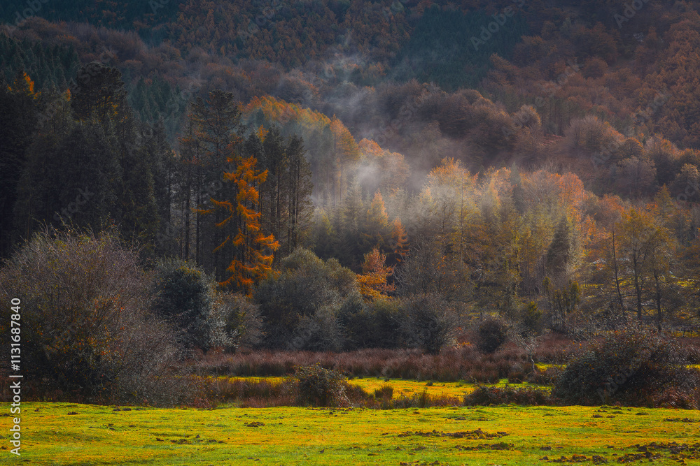 Radiance After Rain