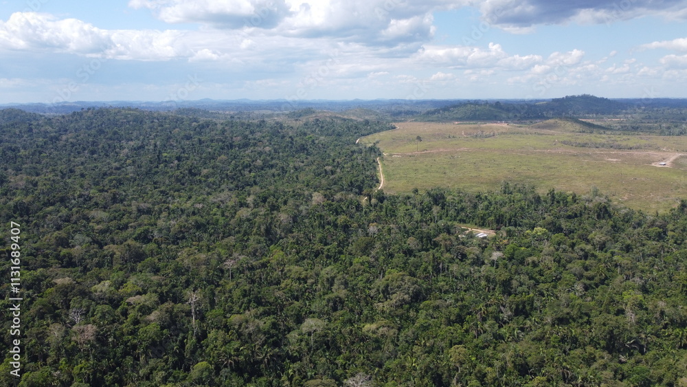 Fototapeta premium Amazônia Floresta Amazônica e Pastagem Pecuária Degradação