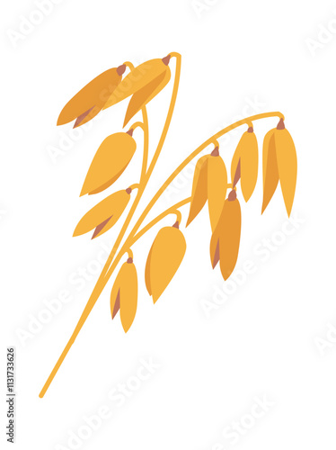 Spikelet of oat cereal plant