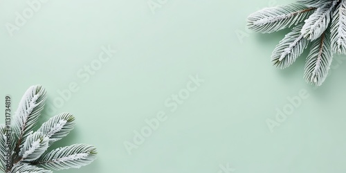 Abstract background with pine tree leaves on borders of light green screen, with free copy space for text or advertisement