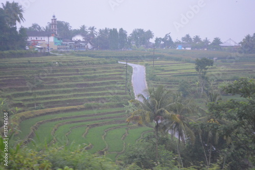 Obraz na plátně Wonderful landscape view of ricefield terrace