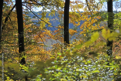 Indian summer, fabulous colorful season