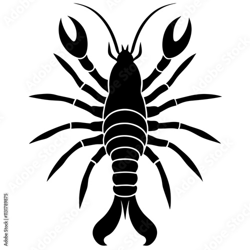 Spiny Lobster High Quality Marine Life Illustrations and Stock Images