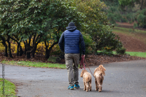 A man in a navy puffer vest and khaki pants walks two curly-haired dogs on a leash along a serene park path in Portland, OR, with vibrant greenery and autumn tones all around photo