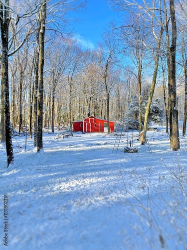 A red barn is surrounded by a snowy forest under a bright blue winter sky, evoking peace and natural beauty in a tranquil rural setting.