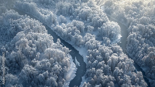 新雪に覆われた広大な森林の空撮12 photo