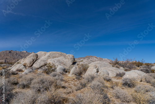 Weathering Porphyritic monzogranite (Cretaceous).  Granite Mountains，Mojave National Preserve South Entrance Kelbaker Road, San Bernardino County, California. Mojave Desert / Basin and Range Province. photo