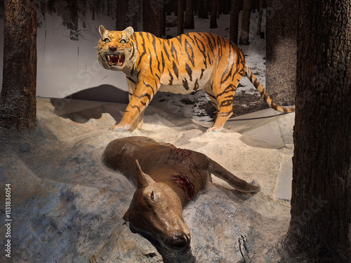 A realistic sculpture of a Siberian tiger looking at a dead deer.