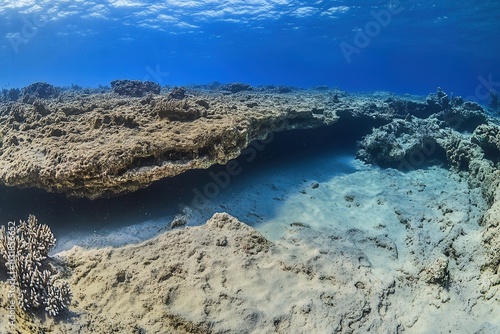 Underwater landscape featuring coral formations and sand.