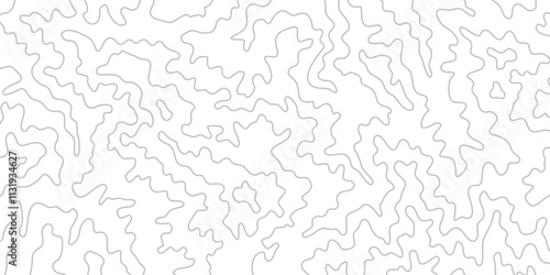 Topography Backgrounds Web graphics.Topographic map material for designing nature, mountain climbing, camping, etc.