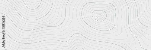 Topography Backgrounds Web graphics.Topographic map material for designing nature, mountain climbing, camping, etc.
