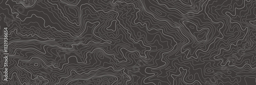 Topography Backgrounds Web graphics.Topographic map material for designing nature, mountain climbing, camping, etc.