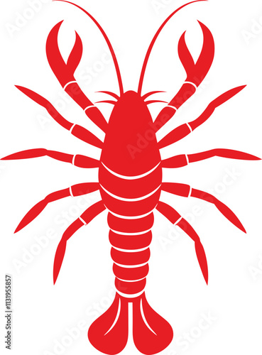Spiny Lobster High Quality Marine Life Illustrations and Stock Images