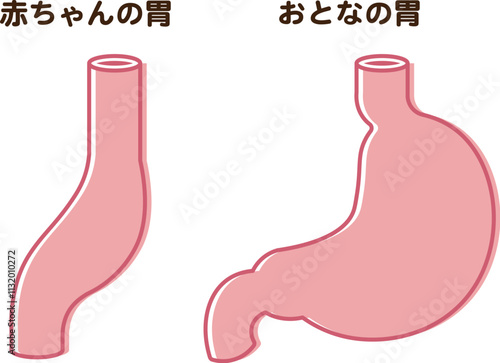 赤ちゃんの胃のサイズ、Baby Stomach