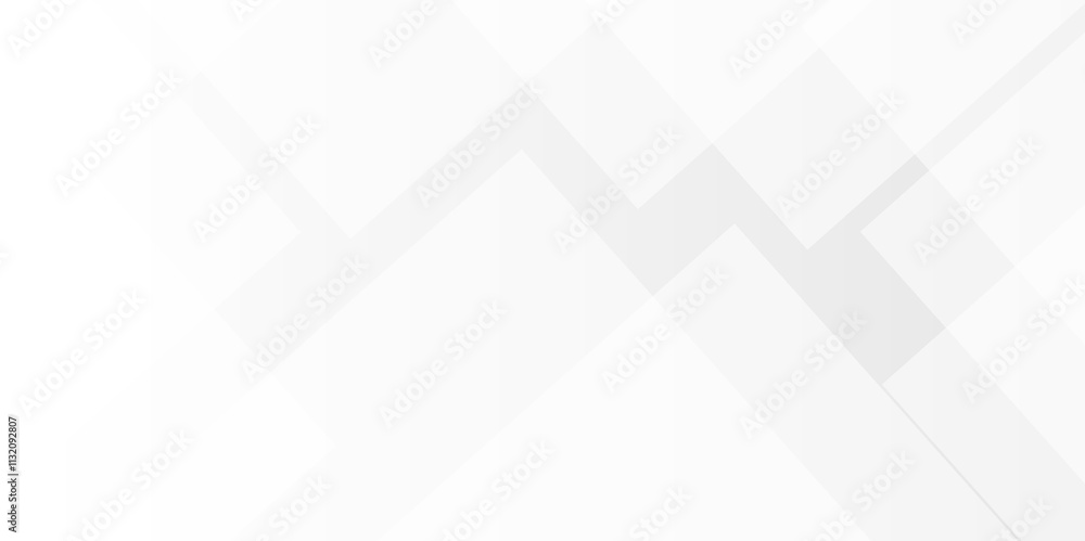 Fototapeta premium Modern white, gray gradient technology concept diamond triangle geometric line background. minimal rectangle randomly arranged white lines transparent layers white abstract design template background.