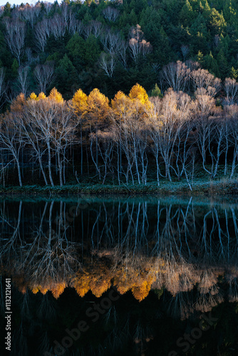 Mysterious early morning autumn foliage scenery at Kido Pond in Shiga Kogen in autumn. photo