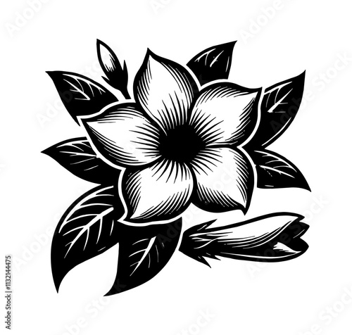 jasmine flower engraving black and white outline