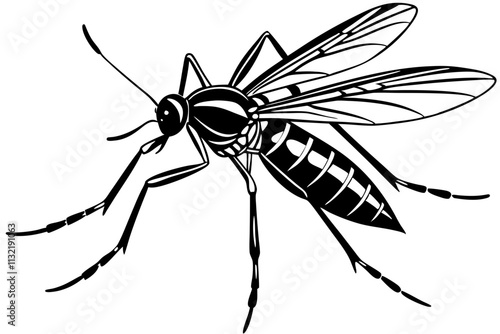 Realistic tropical fever zika virus transmitter mosquito isolated on white background vector illustration