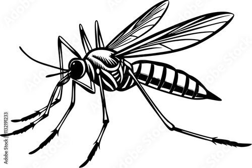 Realistic tropical fever zika virus transmitter mosquito isolated on white background vector illustration