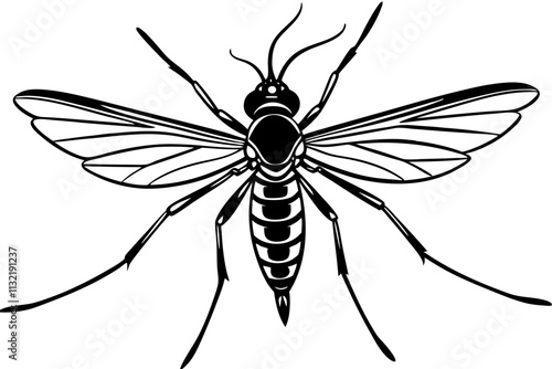 Realistic tropical fever zika virus transmitter mosquito isolated on white background vector illustration