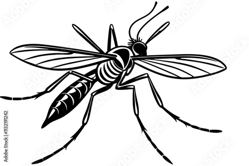 Realistic tropical fever zika virus transmitter mosquito isolated on white background vector illustration