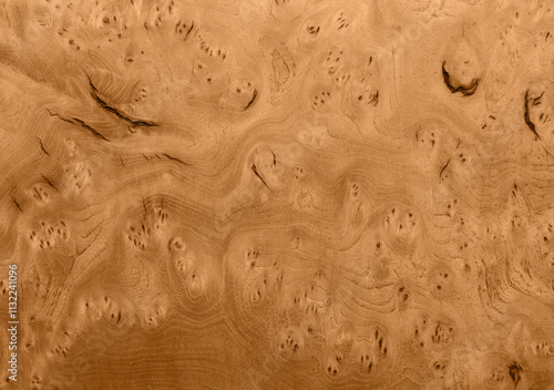 Maple texture background with birdseye