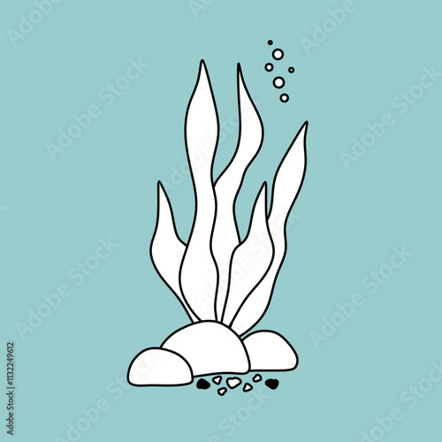 Seaweed hand drawn black and white vector illustration. Linear algae image, icon, simple childish drawing