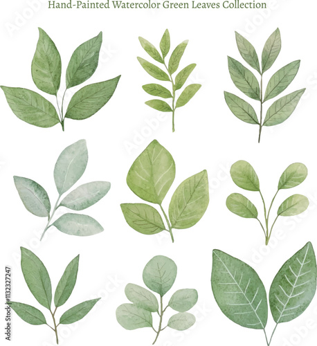 Hand-Painted Watercolor Green Leaves Collection