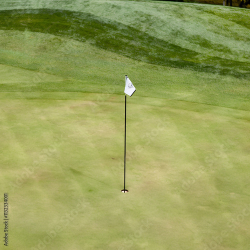 Photo of a well-manicured golf green with a hole marked by a white flag, featuring fine-textured grass and a few trees in the background.