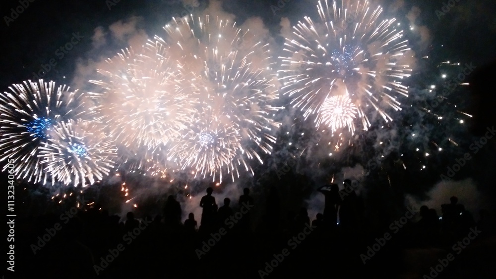 Fototapeta premium Chiba Prefecture, Japan, is a warm city facing the Pacific Ocean. Ichikawa City's fireworks festival is spectacular.