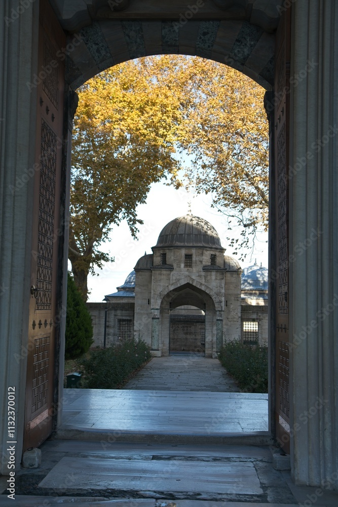 Fototapeta premium Süleymaniye Mosque view through door with trees in fall
