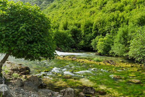 Fluss Bregava nahe Stolac, Bosnien und Herzegowina photo