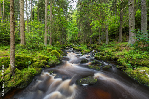 Höllfall, Großer Kamp, Waldviertel, Niederösterreich, Österreich photo