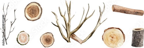 Watercolor vector illustration of wood, stump, and branch isolated on white background.