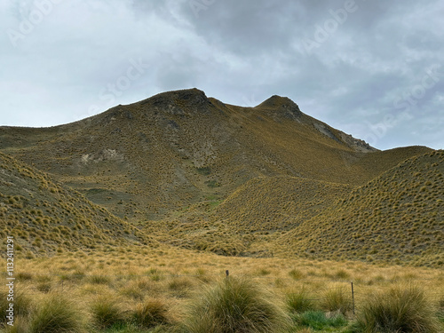 Hills with tussocks, Haast Pass, New Zealand photo