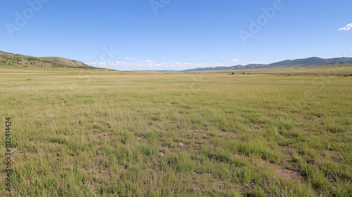 Expansive Grasslands under ...