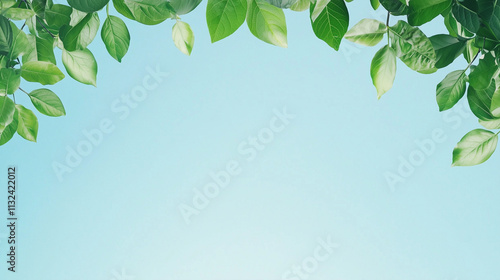 Fresh Spring Leaves Frame