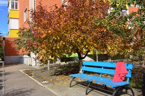 Blue wooden bench near cherry tree in autumn garden